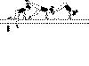 5PLACf.gif (4085 octets)