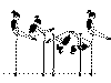 8TARSUSP13.gif (7844 octets)