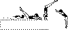 2j ROULAR.gif (1559 octets)