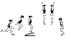 3TOURNSOIj.gif (5034 octets)