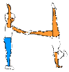 duo2.gif (2976 octets)