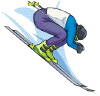 ski4.gif (11762 octets)