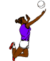 Volley2a.gif (7171 octets)