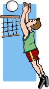 volley08.gif (9111 octets)