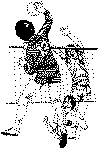 volley2.gif (10194 octets)