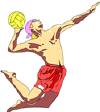 volley.gif (5906 octets)