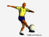football_brasil1.jpg (10856 octets)