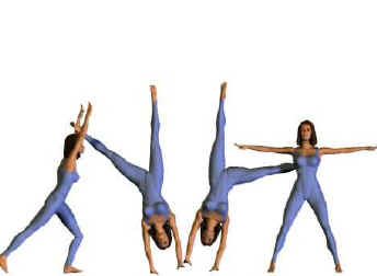 roue_2.jpg (11015 octets)